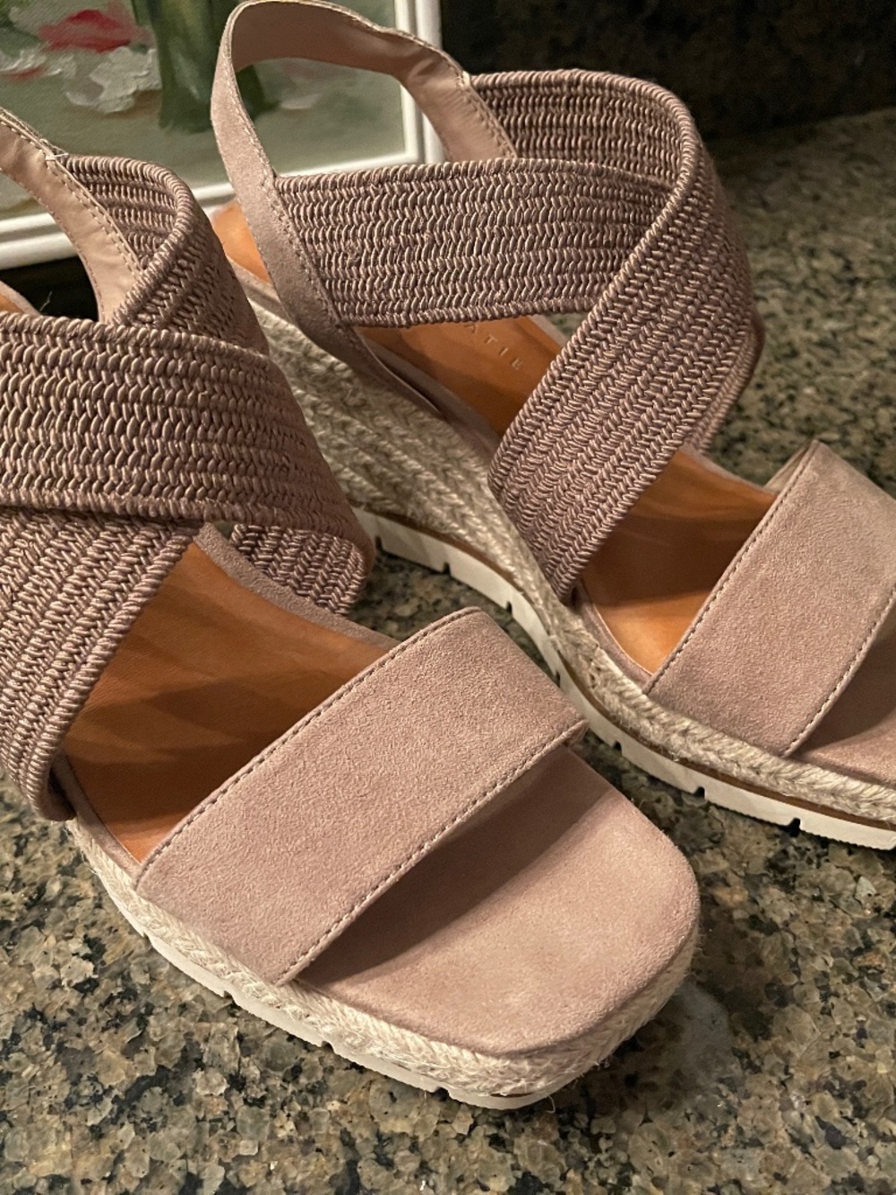 Kelly & Katie Faydrena Wedge Sandal Size 9